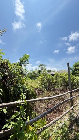 Tanah Investasi Dijual di Badung Punya Luas 2000m2 Tanah Investasi Dijual di Badung Punya Luas 2000m2