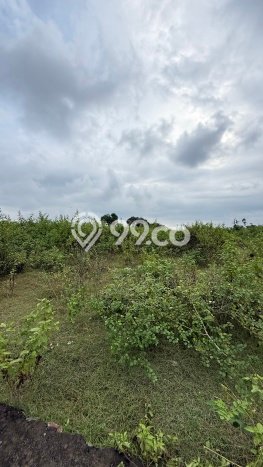 Jual Tanah Kawasan Ungasan, Luas 2000m², Lingkungan Nyaman, Kontur Rata Jual Tanah Kawasan Ungasan, Luas 2000m², Lingkungan Nyaman, Kontur Rata