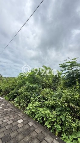 Kavling Tanah untuk Dijual di Benoa, Badung, Luas 900m2 Kavling Tanah untuk Dijual di Benoa, Badung, Luas 900m2