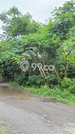 Tanah Kavling Dijual di Badung dengan Spesifikasi 200m2 Tanah Kavling Dijual di Badung dengan Spesifikasi 200m2