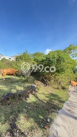 Tanah Dijual Area Strategis di Ungasan Badung 310m2 Tanah Dijual Area Strategis di Ungasan Badung 310m2