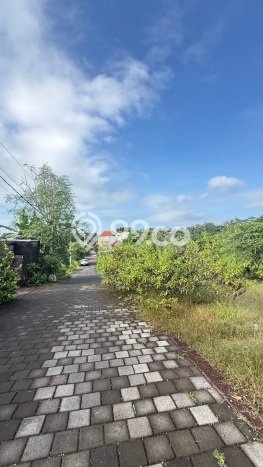 Tanah Kavling Dijual di Badung dengan Spesifikasi 610m2 Tanah Kavling Dijual di Badung dengan Spesifikasi 610m2