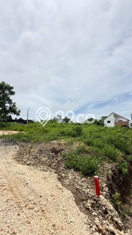Tanah Kavling Dijual di Badung dengan Spesifikasi 274m2 Tanah Kavling Dijual di Badung dengan Spesifikasi 274m2