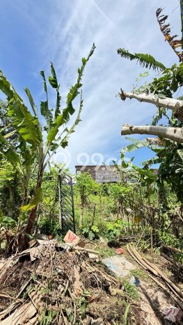 Tanah Kavling Dijual di Ungasan, Badung dengan Luas Tanah 500m2 Tanah Kavling Dijual di Ungasan, Badung dengan Luas Tanah 500m2