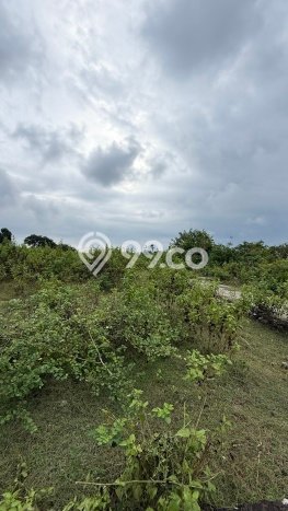 Jual Tanah Kawasan Ungasan, Luas 2000m², Lingkungan Nyaman, Kontur Rata Jual Tanah Kawasan Ungasan, Luas 2000m², Lingkungan Nyaman, Kontur Rata
