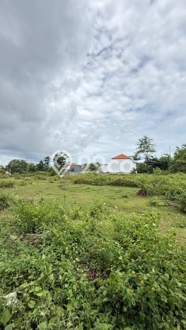 Tanah Dijual Area Strategis di Kutuh Badung 580m2 Tanah Dijual Area Strategis di Kutuh Badung 580m2