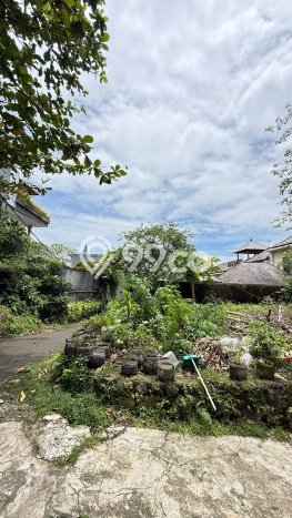 Tanah Kavling Dijual di Badung dengan Spesifikasi 266m2 Tanah Kavling Dijual di Badung dengan Spesifikasi 266m2