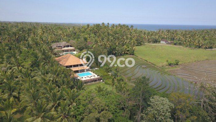Siap Vila di Antap, Area 4000m², Lokasi Premium Siap Vila di Antap, Area 4000m², Lokasi Premium