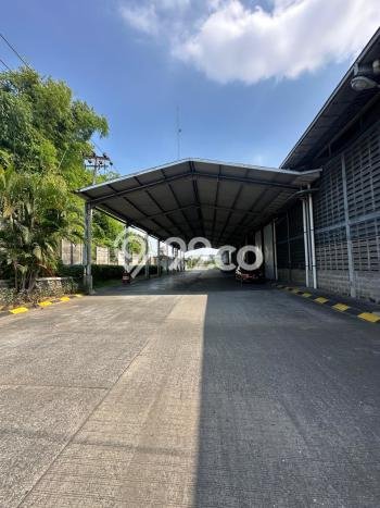 FOR SALE! Pabrik di Bangil Pasuruan, LT 50125m2, LB 12527m2 FOR SALE! Pabrik di Bangil Pasuruan, LT 50125m2, LB 12527m2