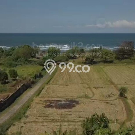 Tanah Kavling Dijual di Klungkung dengan Spesifikasi 4800m2 Tanah Kavling Dijual di Klungkung dengan Spesifikasi 4800m2