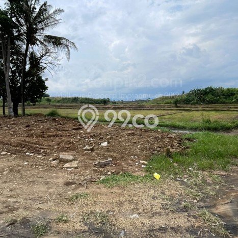 Tanah Dijual di Jembrana Seluas 4300m2 Strategis Tanah Dijual di Jembrana Seluas 4300m2 Strategis