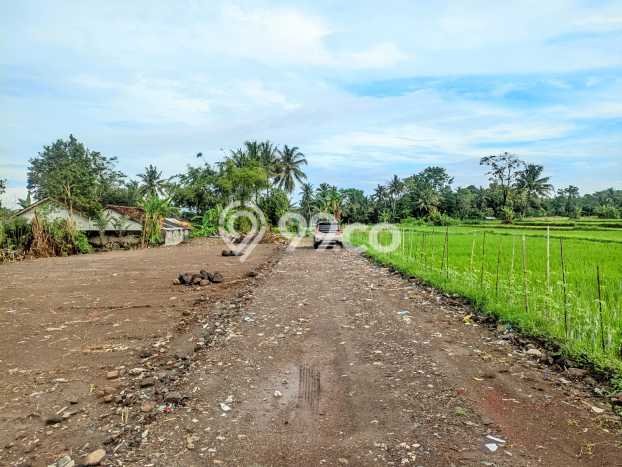 Tanah Dijual Area Strategis di Sleman Yogyakarta 139m2 Tanah Dijual Area Strategis di Sleman Yogyakarta 139m2