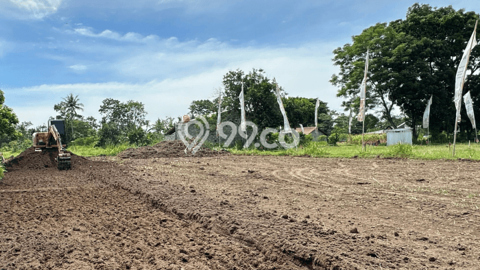 Lahan Strategis di Mlati Dijual dengan Luas 100m2 Lahan Strategis di Mlati Dijual dengan Luas 100m2