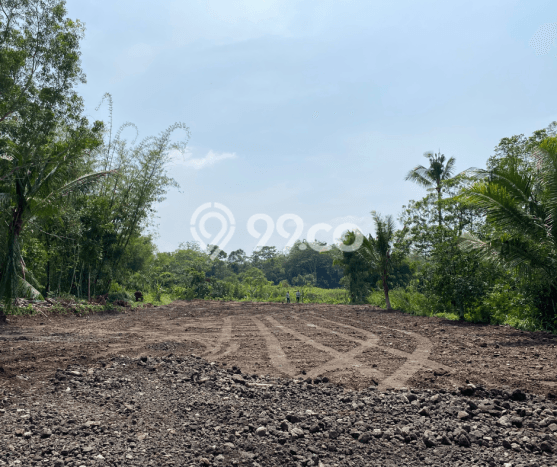TANAH POTENSIAL! Tanah Kawasan Sleman, Luas 119m2m², Tepi Jalan Raya TANAH POTENSIAL! Tanah Kawasan Sleman, Luas 119m2m², Tepi Jalan Raya