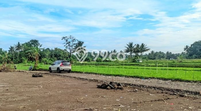 Dijual Tanah di Ngaglik Sleman Luas 146m2 SHM Dijual Tanah di Ngaglik Sleman Luas 146m2 SHM