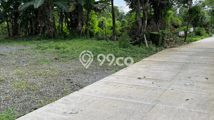 Lahan Dijual Lokasi Strategis di Sleman dengan Luas 188m2 Lahan Dijual Lokasi Strategis di Sleman dengan Luas 188m2