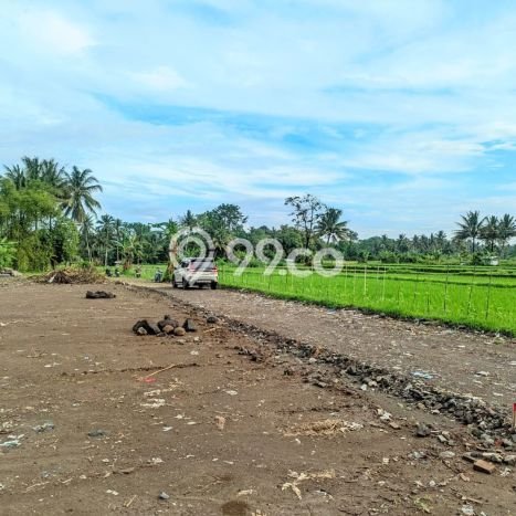 Tanah Kosong Dijual di Sleman dengan Area 139m2 Tanah Kosong Dijual di Sleman dengan Area 139m2