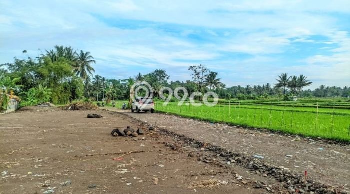 Kavling Tanah Dijual di Ngaglik, Sleman, Luas 146m2 Area Strategis Kavling Tanah Dijual di Ngaglik, Sleman, Luas 146m2 Area Strategis
