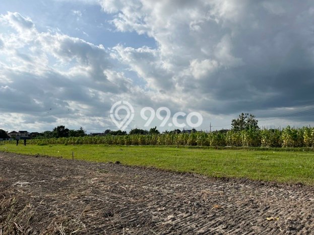 Lahan Investasi Lokasi Godean Sleman SHM Lahan Investasi Lokasi Godean Sleman SHM