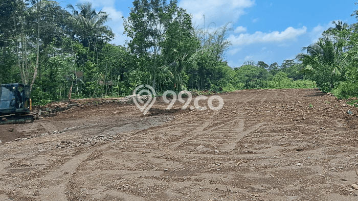 Lahan Investasi Lokasi Sleman Sleman SHM Lahan Investasi Lokasi Sleman Sleman SHM