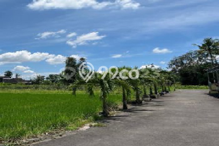Kavling Tanah Dijual di Kalasan, Sleman, Luas 112m2 Area Strategis Kavling Tanah Dijual di Kalasan, Sleman, Luas 112m2 Area Strategis