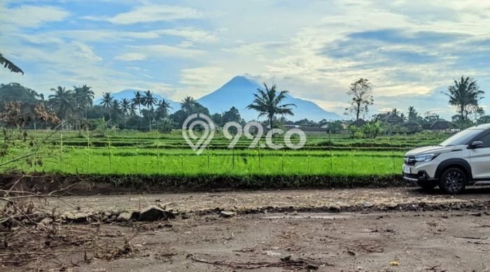 Dijual Tanah di Ngaglik Sleman Luas 146m2 SHM Dijual Tanah di Ngaglik Sleman Luas 146m2 SHM