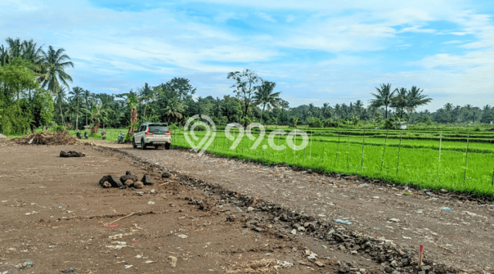 Untuk Dijual Tanah di Sleman Sleman Luas 139m2 SHM Untuk Dijual Tanah di Sleman Sleman Luas 139m2 SHM
