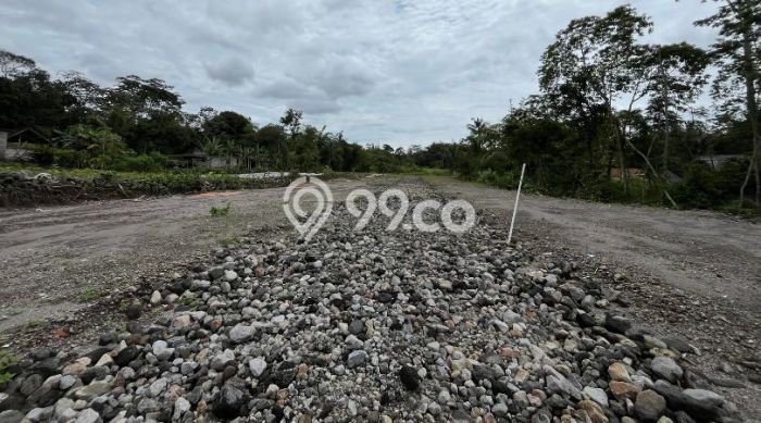 Jarang Ada! Tanah di Sleman Punya Luas 117m2 SHM Jarang Ada! Tanah di Sleman Punya Luas 117m2 SHM