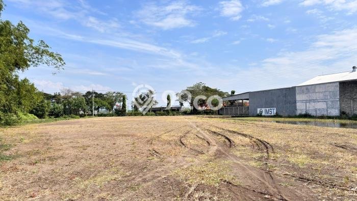 Jarang Ada! Tanah di Madiun Punya Luas 94m2 SHM Jarang Ada! Tanah di Madiun Punya Luas 94m2 SHM