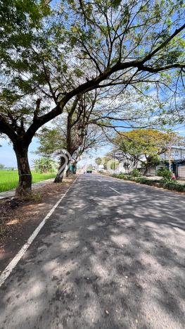 Jarang Ada! Tanah di Madiun Punya Luas 94m2 SHM Jarang Ada! Tanah di Madiun Punya Luas 94m2 SHM