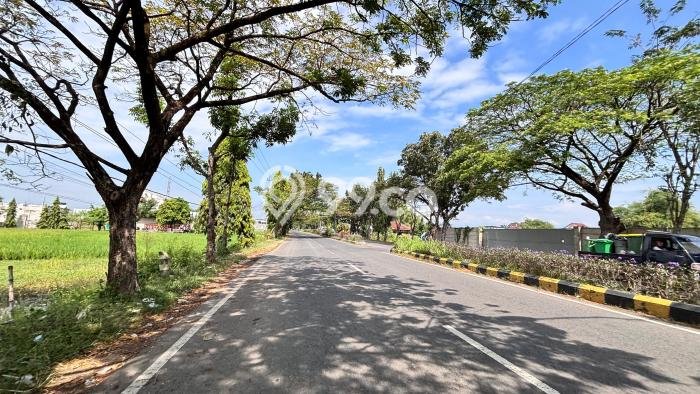 Jarang Ada! Tanah di Madiun Punya Luas 94m2 SHM Jarang Ada! Tanah di Madiun Punya Luas 94m2 SHM