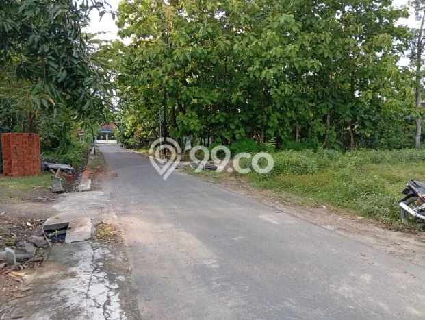 Tanah Dijual Lokasi Madiun Madiun SHM Tanah Dijual Lokasi Madiun Madiun SHM