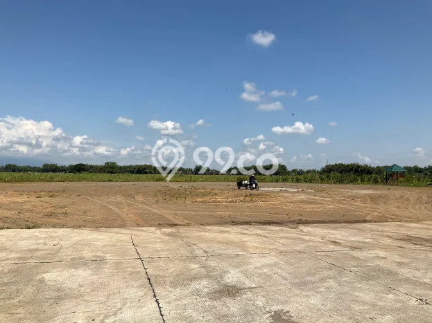 Lahan Dijual Lokasi Madiun, Madiun dengan Luas Tanah 86m2 dan Status SHM Lahan Dijual Lokasi Madiun, Madiun dengan Luas Tanah 86m2 dan Status SHM