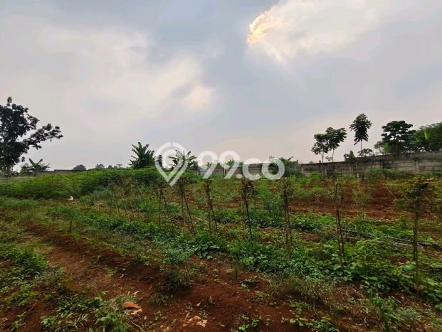 Tanah Dijual di Tangerang Seluas 2658m2 Strategis Tanah Dijual di Tangerang Seluas 2658m2 Strategis