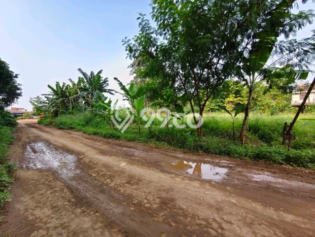 Jarang Ada! Tanah Kavling Disewakan di Tangerang 2100m2 Jarang Ada! Tanah Kavling Disewakan di Tangerang 2100m2