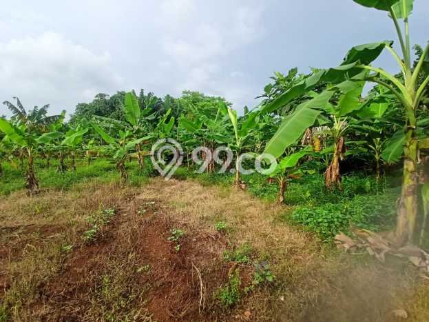 Dijual Tanah 1300m2 di BSD, Tangerang Dijual Tanah 1300m2 di BSD, Tangerang