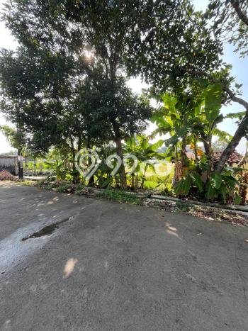 HARGA MENARIK! Tanah di , Luas 1022m2m², Area Nyaman, Bebas Longsor HARGA MENARIK! Tanah di , Luas 1022m2m², Area Nyaman, Bebas Longsor