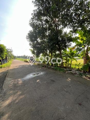 HARGA MENARIK! Tanah di , Luas 1022m2m², Area Nyaman, Bebas Longsor HARGA MENARIK! Tanah di , Luas 1022m2m², Area Nyaman, Bebas Longsor