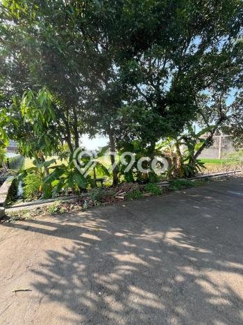 HARGA MENARIK! Tanah di , Luas 1022m2m², Area Nyaman, Bebas Longsor HARGA MENARIK! Tanah di , Luas 1022m2m², Area Nyaman, Bebas Longsor