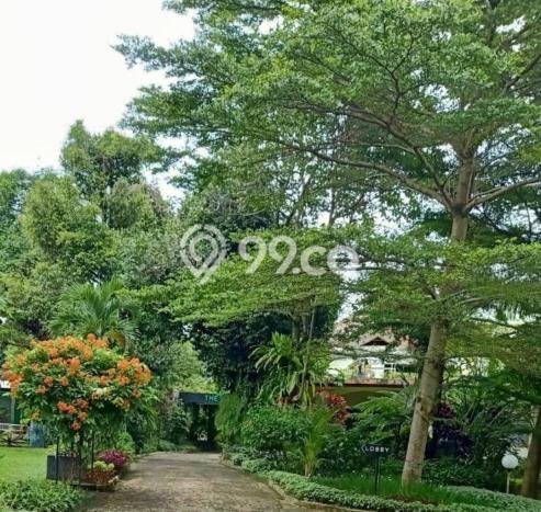 Hotel Premium Kawasan Megamendung, Luas 800m2m², Area Komersial, Tingkat Keramaian Tinggi Hotel Premium Kawasan Megamendung, Luas 800m2m², Area Komersial, Tingkat Keramaian Tinggi