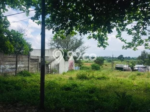 Tanah untuk Dijual Lokasi Tapos, Depok Luas 1600m2 SHM Tanah untuk Dijual Lokasi Tapos, Depok Luas 1600m2 SHM