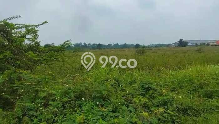 Tanah Kavling untuk Dijual di Cikupa Tangerang 130000m2 Tanah Kavling untuk Dijual di Cikupa Tangerang 130000m2