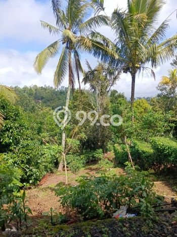 Tanah Investasi Dijual di Tabanan Punya Luas 10200m2 Tanah Investasi Dijual di Tabanan Punya Luas 10200m2