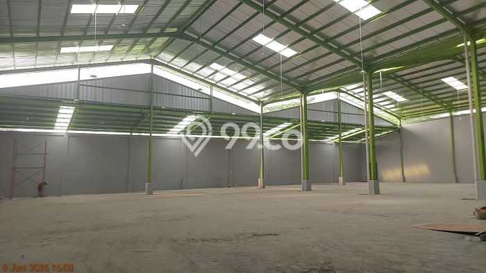 Disewakan Gudang Bisnis di Balaraja Tangerang Harga Sewa Menarik Bisa Nego Disewakan Gudang Bisnis di Balaraja Tangerang Harga Sewa Menarik Bisa Nego