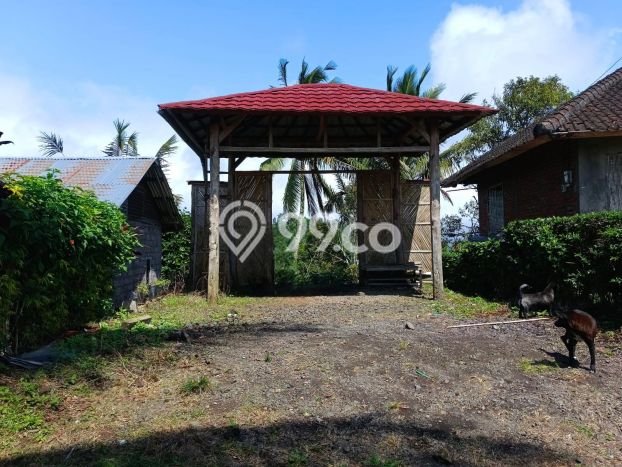Tanah Investasi Dijual di Tabanan Punya Luas 10200m2 Tanah Investasi Dijual di Tabanan Punya Luas 10200m2