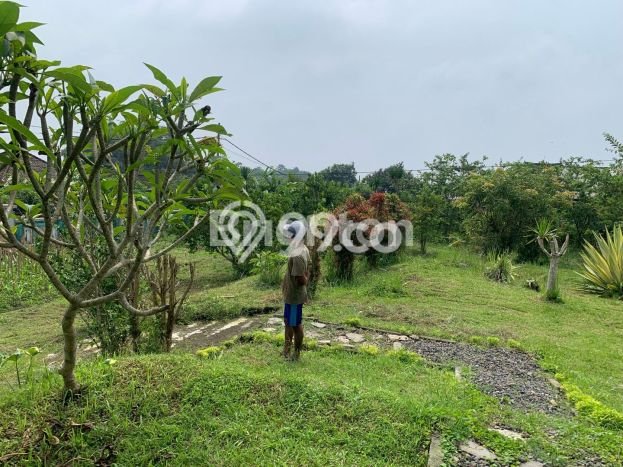 Dijual Tanah di Tabanan, Luas 3710m2 SHM Dijual Tanah di Tabanan, Luas 3710m2 SHM