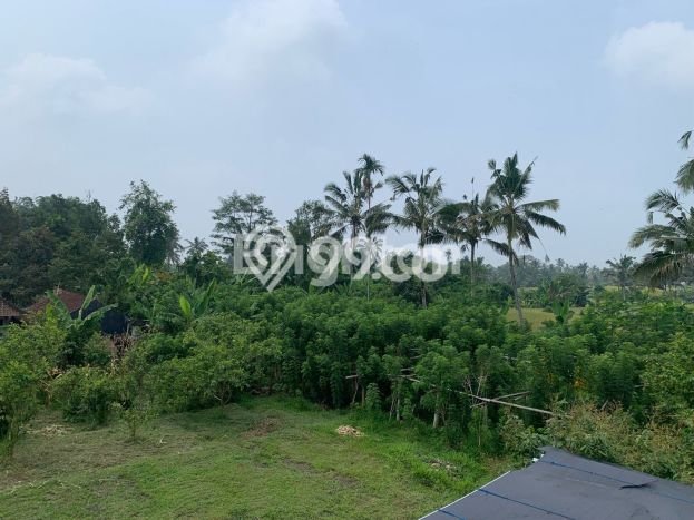 Dijual Tanah di Tabanan, Luas 3710m2 SHM Dijual Tanah di Tabanan, Luas 3710m2 SHM