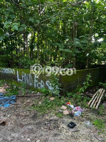 PROSPEKTIF! Tanah Kawasan Kutuh, Luas 300m², Lokasi Strategis PROSPEKTIF! Tanah Kawasan Kutuh, Luas 300m², Lokasi Strategis