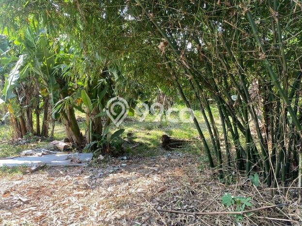 Dijual Gudang di Gunung Putri, Bogor Harga Penawaran Spesial Dijual Gudang di Gunung Putri, Bogor Harga Penawaran Spesial