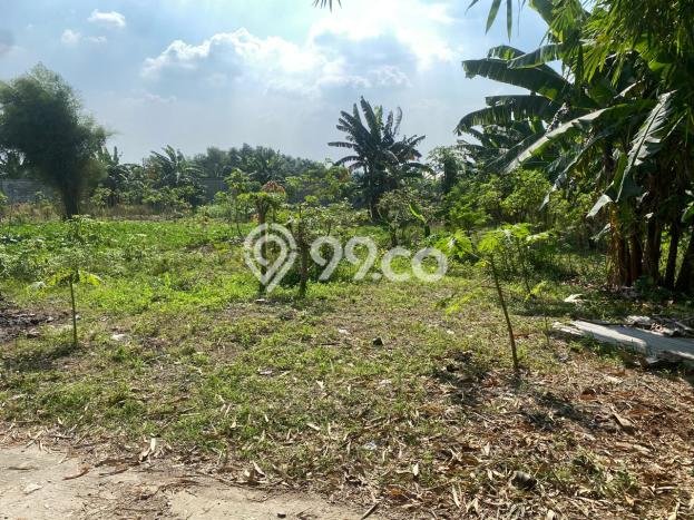 Dijual Gudang di Gunung Putri, Bogor Harga Penawaran Spesial Dijual Gudang di Gunung Putri, Bogor Harga Penawaran Spesial